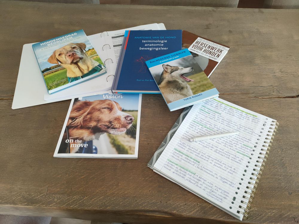 leren